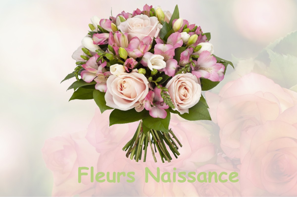 fleurs naissance MAILLY-CHAMPAGNE